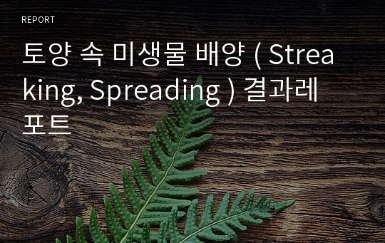 토양 속 미생물 배양 ( Streaking, Spreading ) 결과레포트