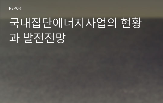 국내집단에너지사업의 현황과 발전전망