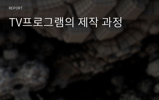 TV프로그램의 제작 과정