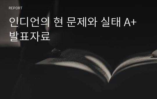 인디언의 현 문제와 실태 A+ 발표자료