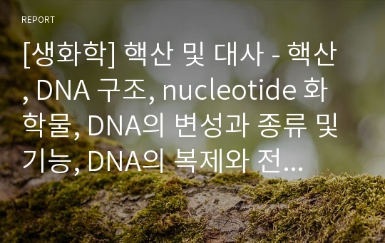 [생화학] 핵산 및 대사 - 핵산, DNA 구조, nucleotide 화학물, DNA의 변성과 종류 및 기능, DNA의 복제와 전사(생합성), 단백질 합성(번역)