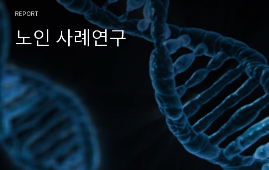 노인 사례연구