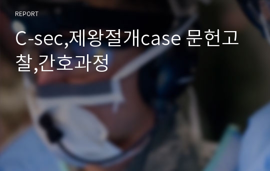 C-sec,제왕절개case 문헌고찰,간호과정