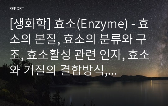 [생화학] 효소(Enzyme) - 효소의 본질, 효소의 분류와 구조, 효소활성 관련 인자, 효소와 기질의 결합방식, 효소의 작용, 효소활성 영향인자, 효소의 동력학