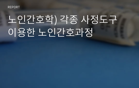 노인간호학) 각종 사정도구 이용한 노인간호과정