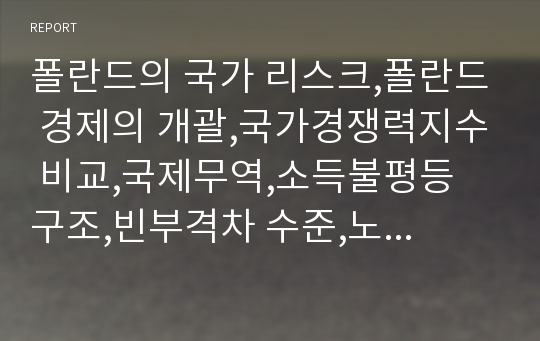 폴란드의 국가 리스크,폴란드 경제의 개괄,국가경쟁력지수 비교,국제무역,소득불평등 구조,빈부격차 수준,노동시장 여건,인프라 현황,폴란드 환율 변동 비교