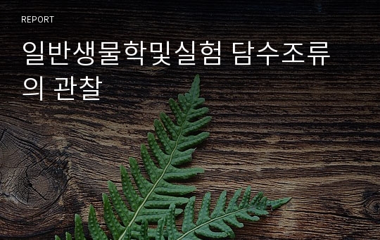 일반생물학및실험 담수조류의 관찰