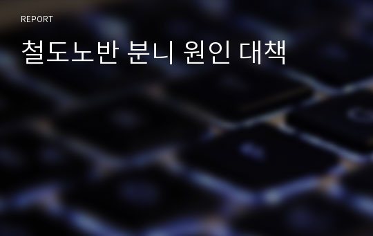 철도노반 분니 원인 대책