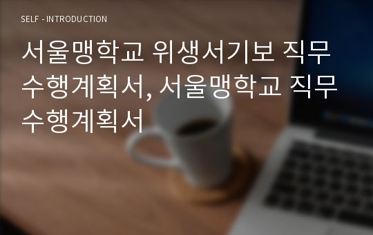 서울맹학교 위생서기보 직무수행계획서, 서울맹학교 직무수행계획서