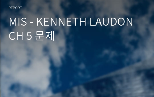 MIS - KENNETH LAUDON CH 5 문제