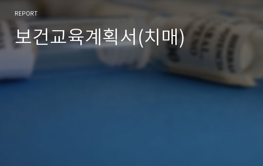 보건교육계획서(치매)