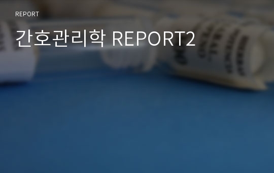 간호관리학 REPORT2