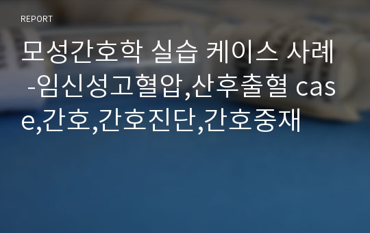 모성간호학 실습 케이스-임신성고혈압,산후출혈,간호,case,간호진단,간호사정,간호중재,간호과정,문헌고찰