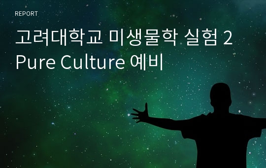 고려대학교 미생물학 실험 2 Pure Culture 예비