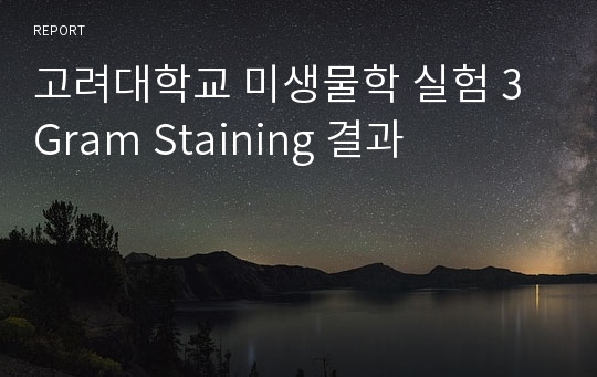 고려대학교 미생물학 실험 3 Gram Staining 결과