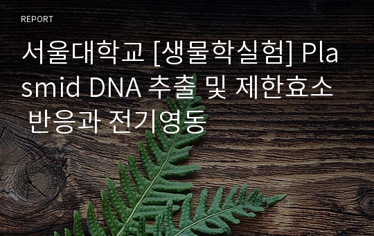 서울대학교 [생물학실험] Plasmid DNA 추출 및 제한효소 반응과 전기영동