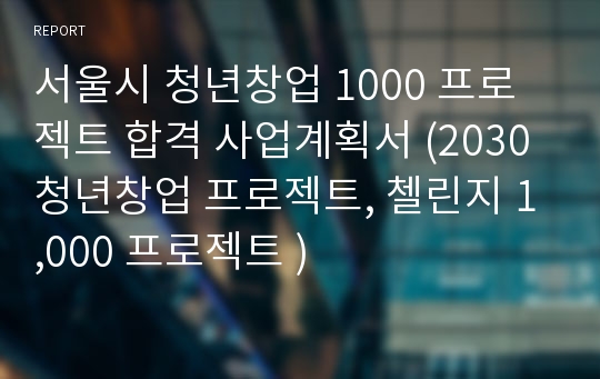 서울시 청년창업 1000 프로젝트 합격 사업계획서 (2030 청년창업 프로젝트, 첼린지 1,000 프로젝트 )