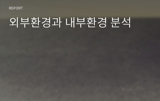 외부환경과 내부환경 분석