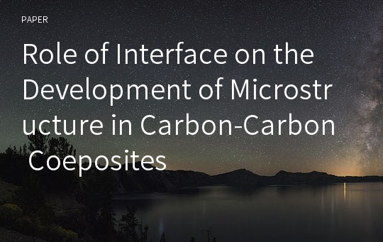Role of Interface on the Development of Microstructure in Carbon-Carbon Coeposites