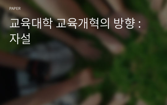 교육대학 교육개혁의 방향 : 자설