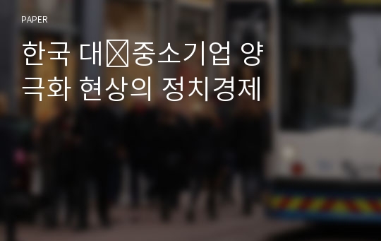 한국 대&amp;#8228;중소기업 양극화 현상의 정치경제