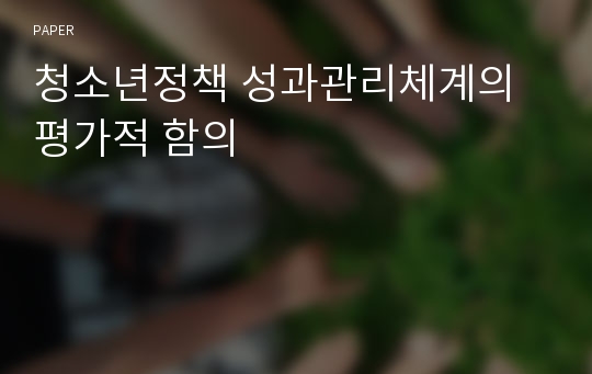 청소년정책 성과관리체계의 평가적 함의