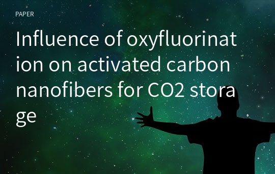 Influence of oxyfluorination on activated carbon nanofibers for CO2 storage