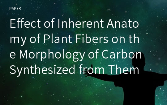 Effect of Inherent Anatomy of Plant Fibers on the Morphology of Carbon Synthesized from Them and Their Hydrogen Absorption Capacity