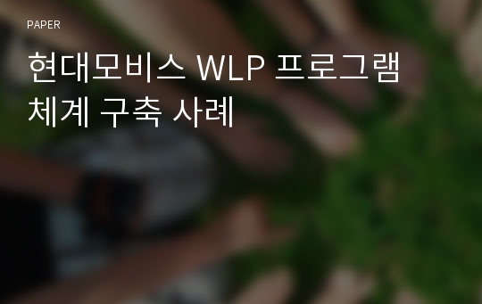 현대모비스 WLP 프로그램 체계 구축 사례