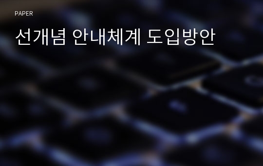 선개념 안내체계 도입방안