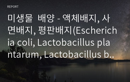 미생물  배양 - 액체배지, 사면배지, 평판배지(Escherichia coli, Lactobacillus plantarum, Lactobacillus bulgaricus , Staphylococcus aureus