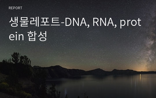 생물레포트-DNA, RNA, protein 합성