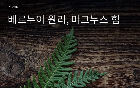 베르누이 원리, 마그누스 힘