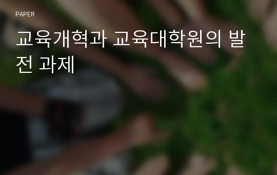 교육개혁과 교육대학원의 발전 과제 