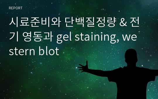 시료준비와 단백질정량 &amp; 전기 영동과 gel staining, western blot