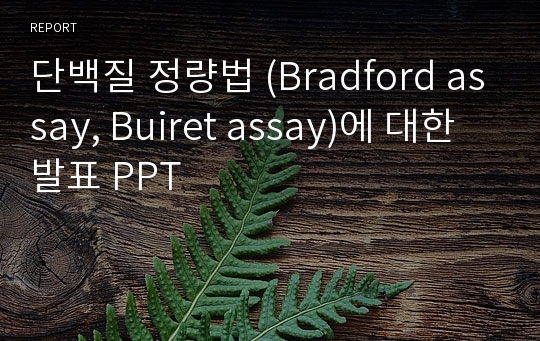 단백질 정량법 (Bradford assay, Buiret assay)에 대한 발표 PPT
