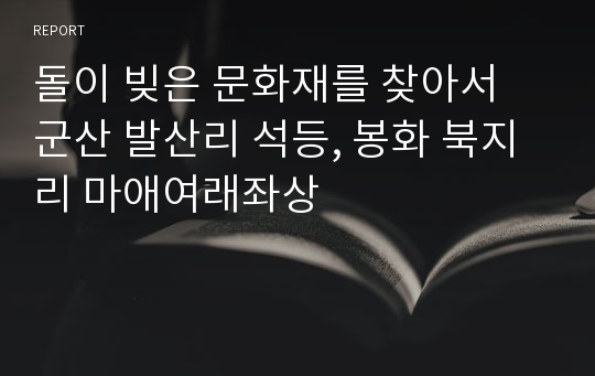 돌이 빚은 문화재를 찾아서 군산 발산리 석등, 봉화 북지리 마애여래좌상