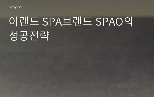 이랜드 SPA브랜드 SPAO의 성공전략