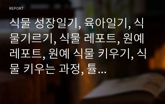 식물 성장일기, 육아일기, 식물기르기, 식물 레포트, 원예 레포트, 원예 식물 키우기, 식물 키우는 과정, 튤립의 정의, 튤립이란, 튤립 키우기, 튤립, 튤립 육아일기, 튤립성장과정, 튤립자라는 과정, 튤립새싹, 튤립 발아, 식물키우는 레포트, 식물키우기 과제, 꽃키우기, 꽃피우기, 생활과 원예, 생활과원예 레포트, 생활과원예 식물키우기