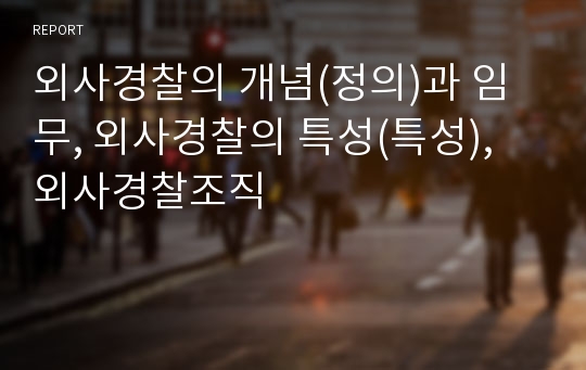 외사경찰의 개념(정의)과 임무, 외사경찰의 특성(특성), 외사경찰조직