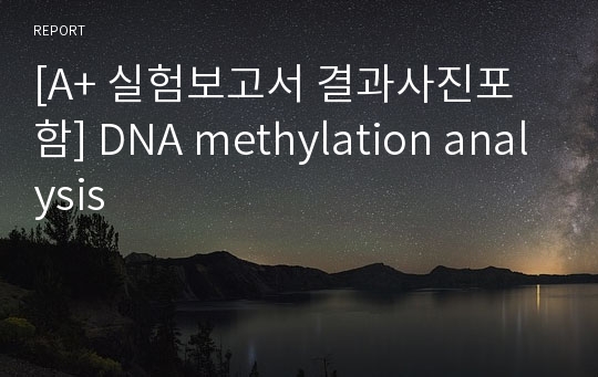 [A+ 실험보고서 결과사진포함] DNA methylation analysis
