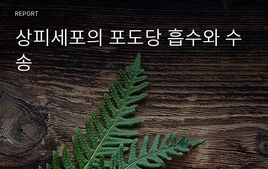 상피세포의 포도당 흡수와 수송