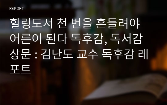 힐링도서 천 번을 흔들려야 어른이 된다 독후감, 독서감상문 : 김난도 교수 독후감 레포트