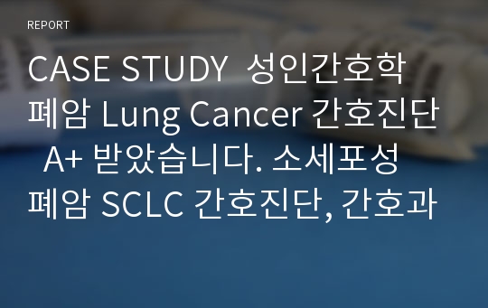 CASE STUDY  성인간호학 폐암 Lung Cancer 간호진단  A+ 받았습니다. 소세포성 폐암 SCLC 간호진단, 간호과정, 진단 8개, 투약 약물