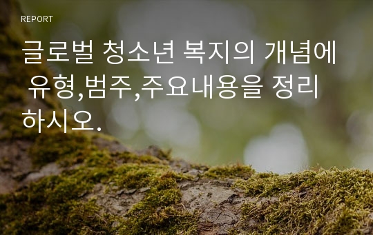 글로벌 청소년 복지의 개념에 유형,범주,주요내용을 정리하시오.