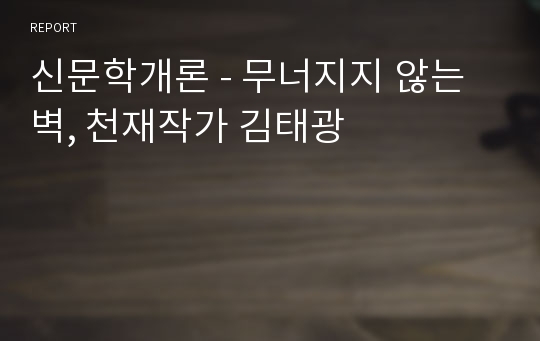 신문학개론 - 무너지지 않는 벽, 천재작가 김태광