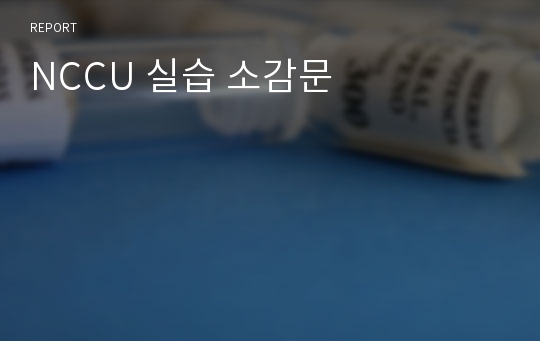 NCCU 실습 소감문