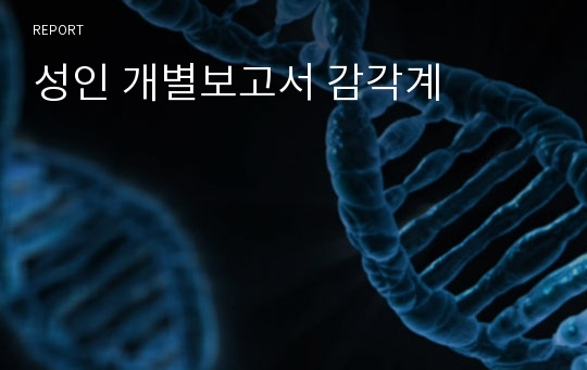 성인 개별보고서 감각계