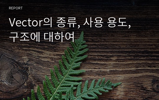 Vector의 종류, 사용 용도, 구조에 대하여