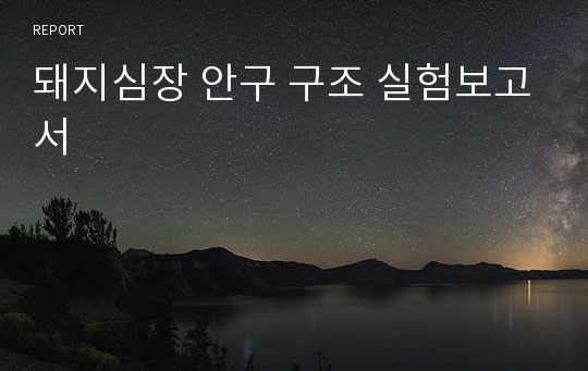 돼지심장 안구 구조 실험보고서